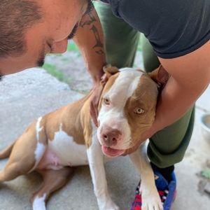 Meet your Posher, Reyna